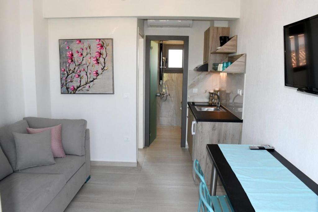 Theano Luxury Suites Nikiti Extérieur photo