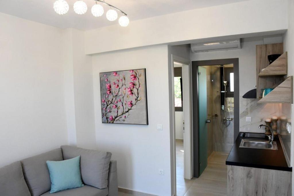 Theano Luxury Suites Nikiti Extérieur photo